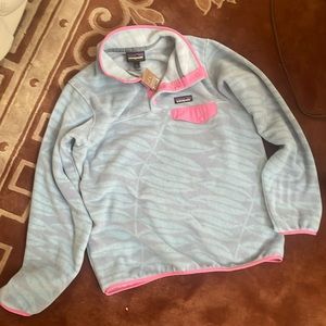 Patagonia Lightweight Synchilla Snap T Pullover